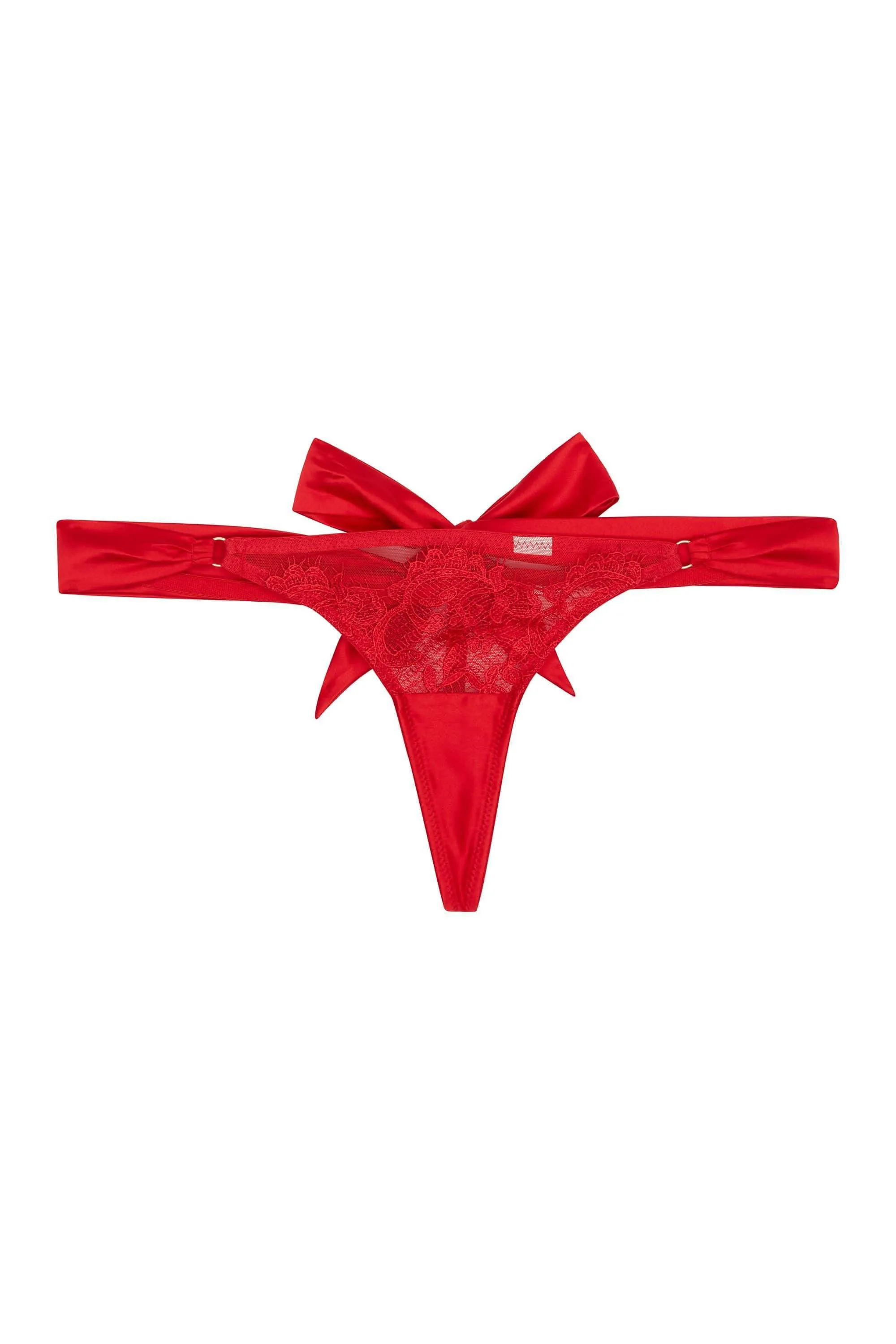 Anneliese Red Satin Net and Lace Thong