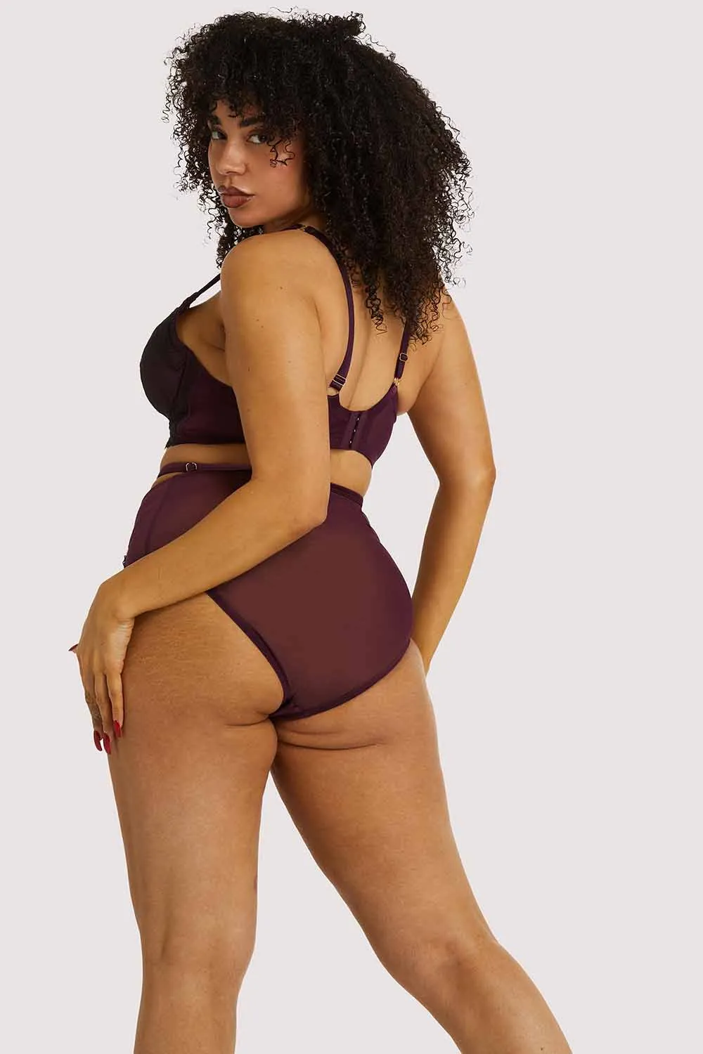 Muriel Purple High Waist Brief