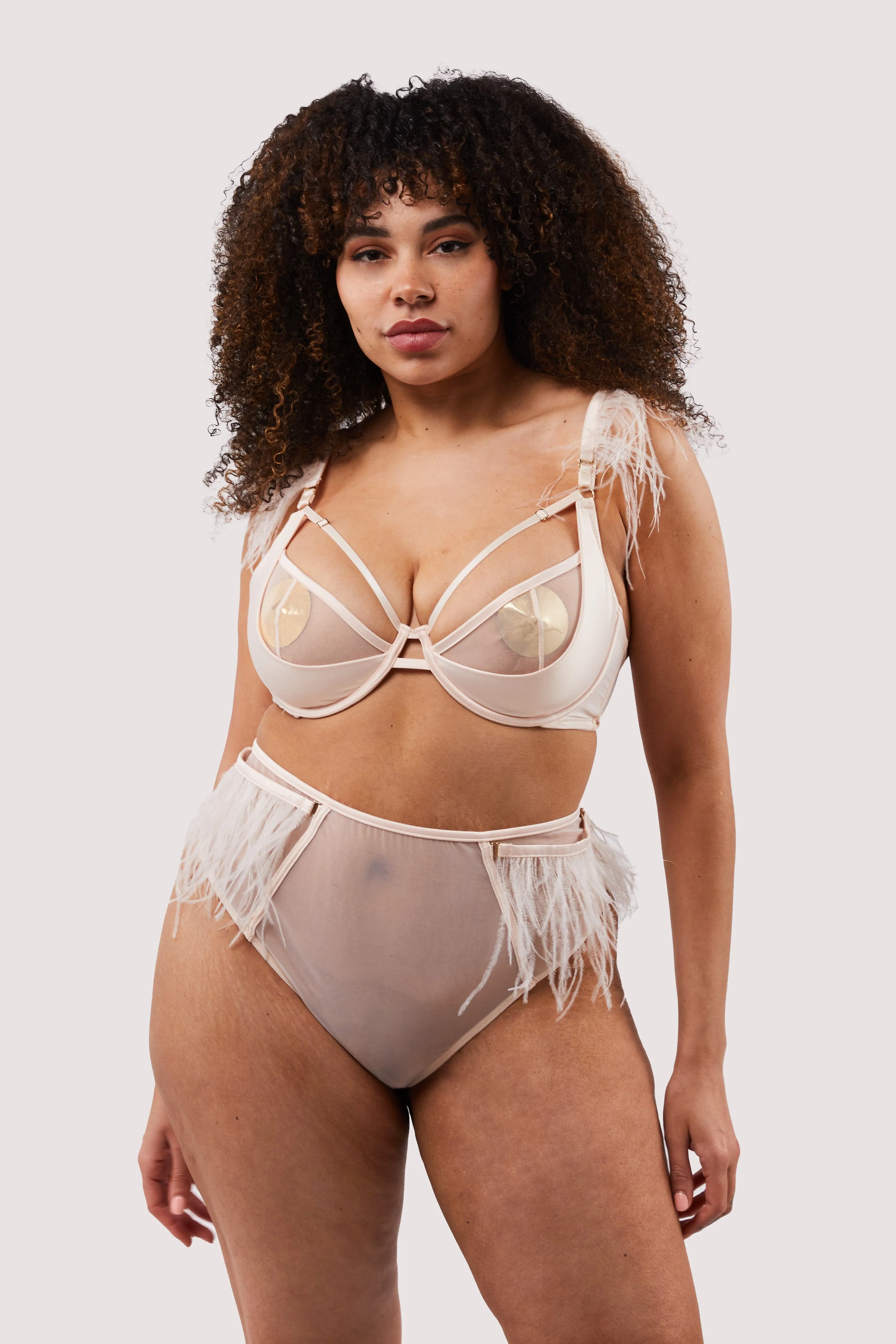 Phoenix Blush Feather High Waisted Brief