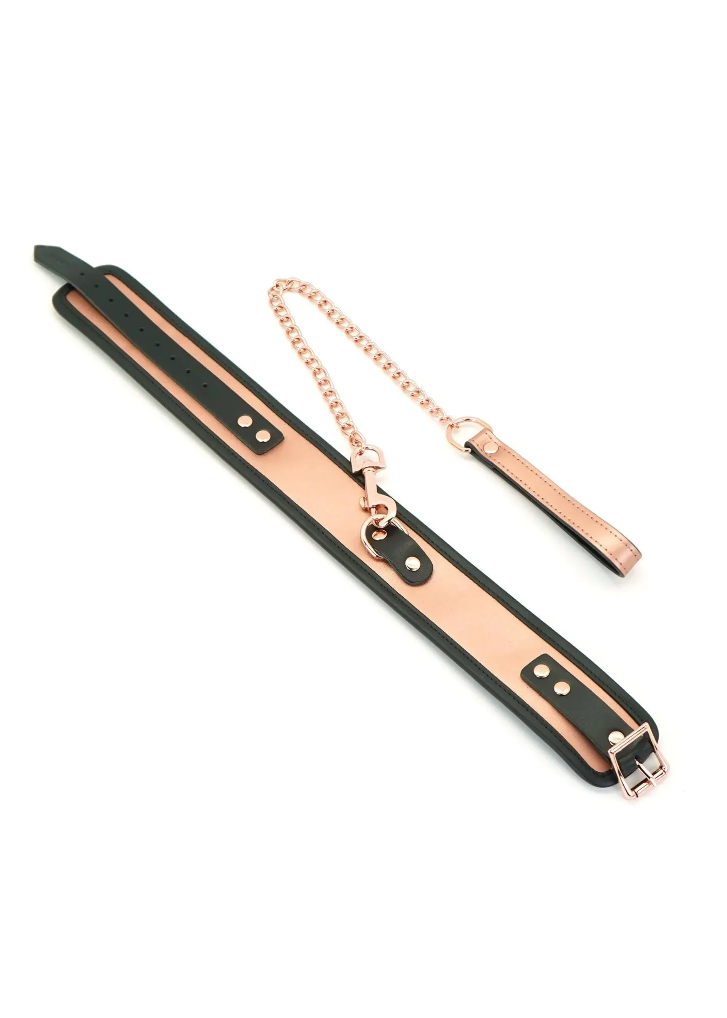 Rose Gold Memory Collar and Leash