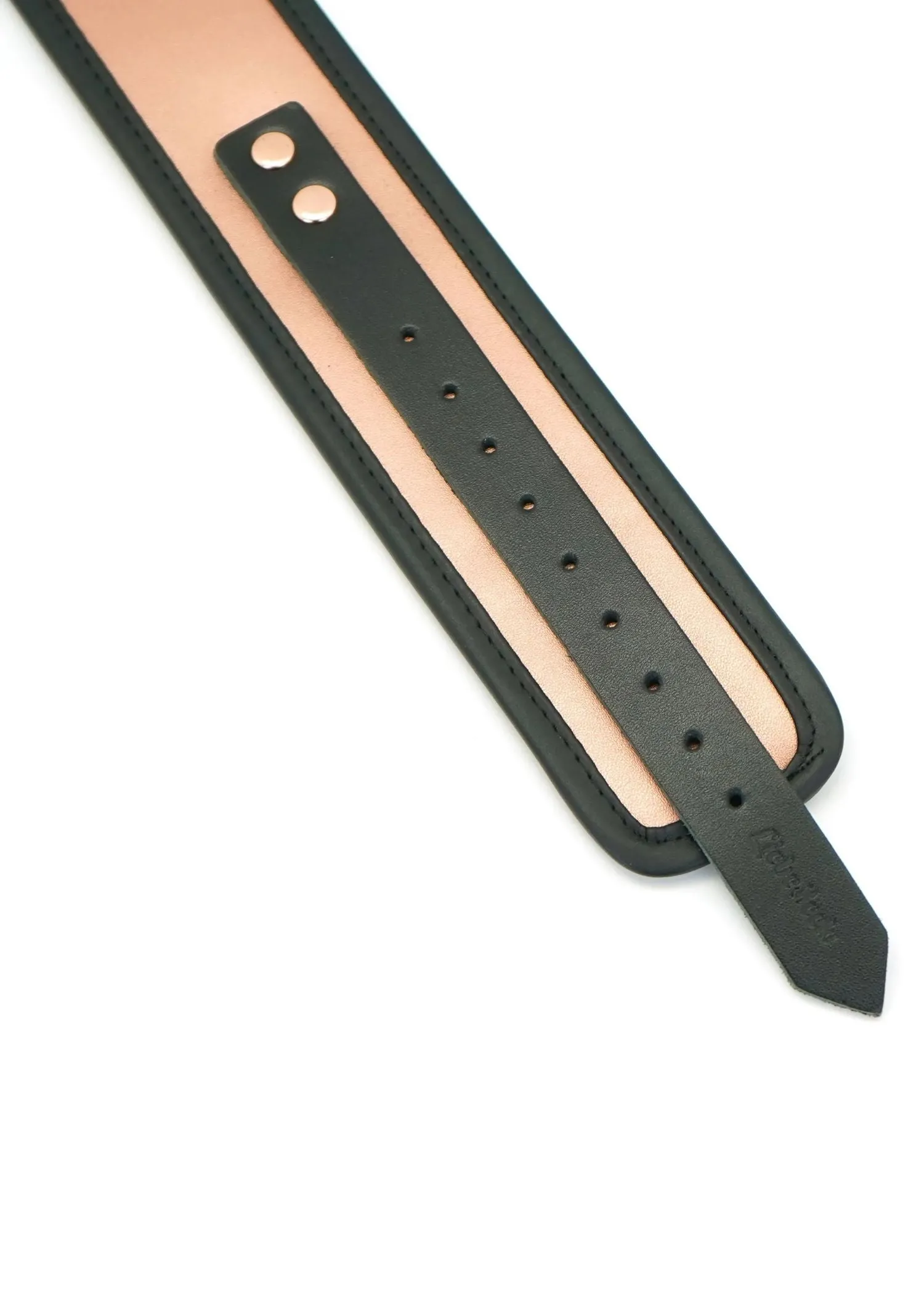Rose Gold Memory Collar and Leash