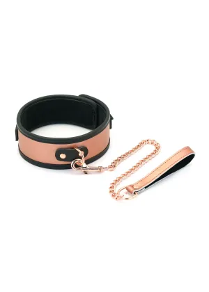 Rose Gold Memory Collar and Leash