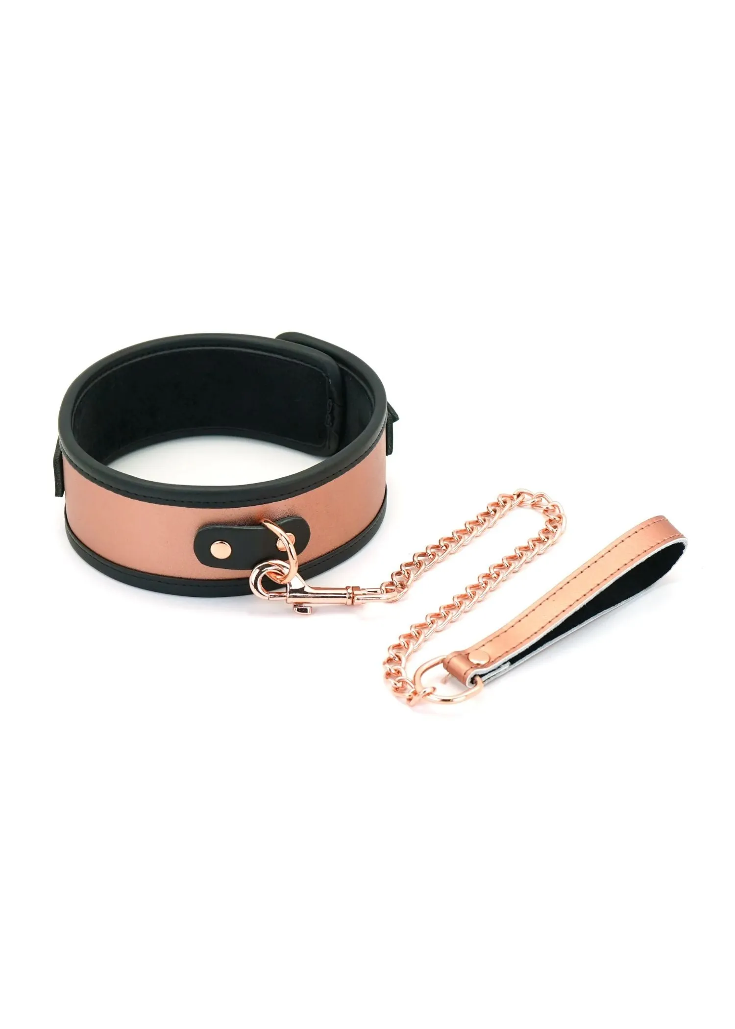 Rose Gold Memory Collar and Leash