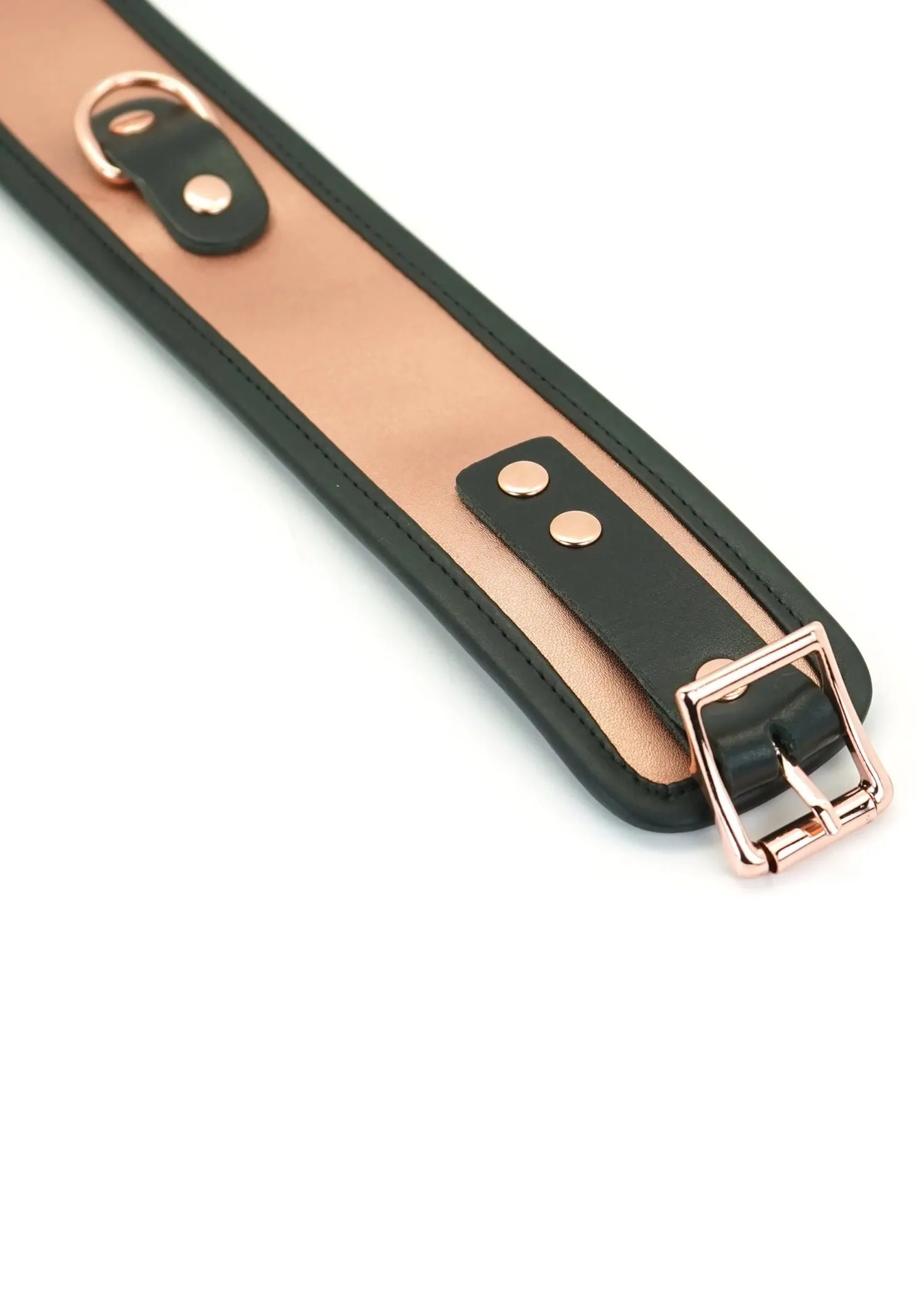 Rose Gold Memory Collar and Leash